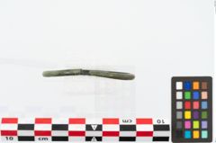 Foto von Bronzearmreif (NHMW-PRAE-026615)